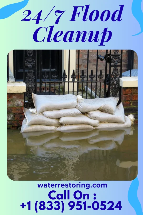 24/7 Flood Cleanup in Chesterfield, TN