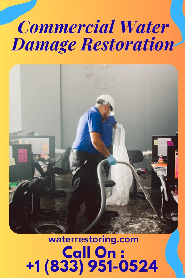 Commercial Water Damage Restoration in Chesterfield, TN