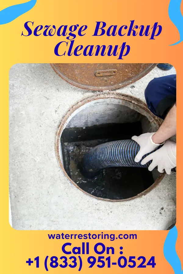 Sewage Backup Cleanup in Chesterfield, TN